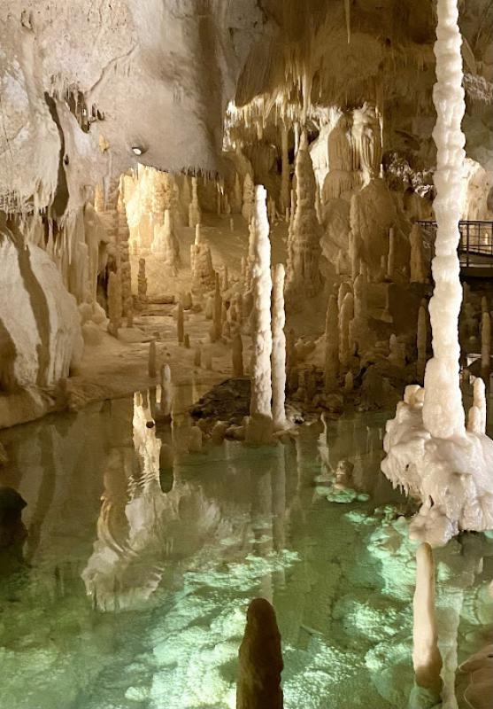 Il senso della natura Il senso della natura