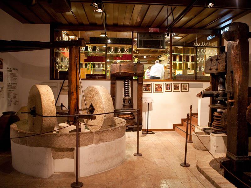 Museo dell'olio e dell'olivo