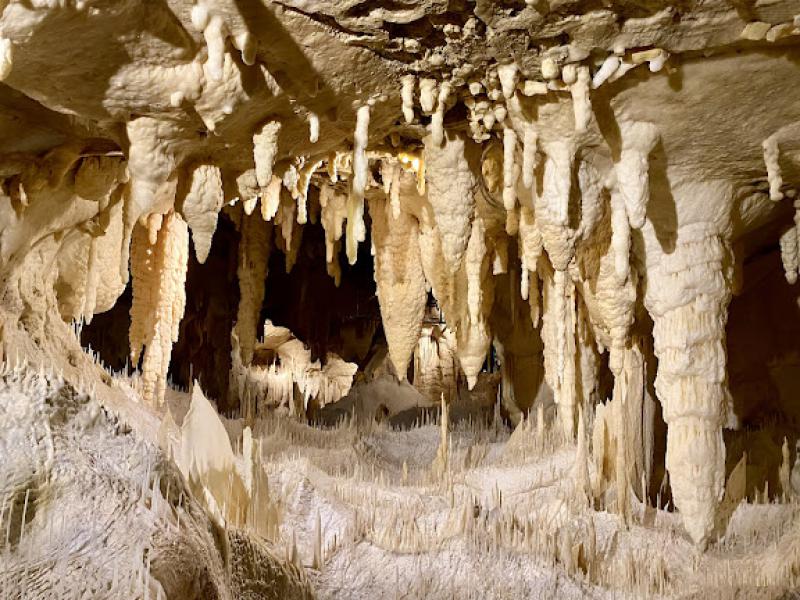 Il senso della natura Il senso della natura