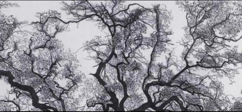 Federica Galli : alberi