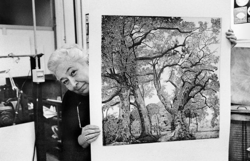 Federica Galli : alberi