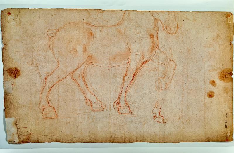 Cavallo ideale di Leonardo