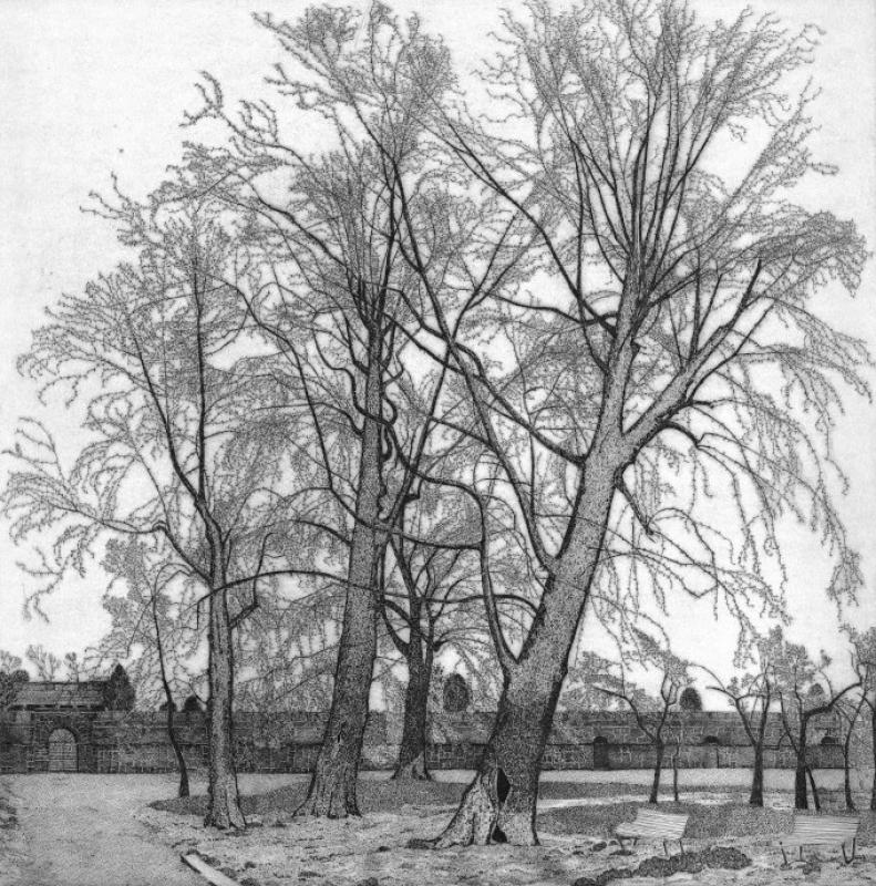 Federica Galli : alberi
