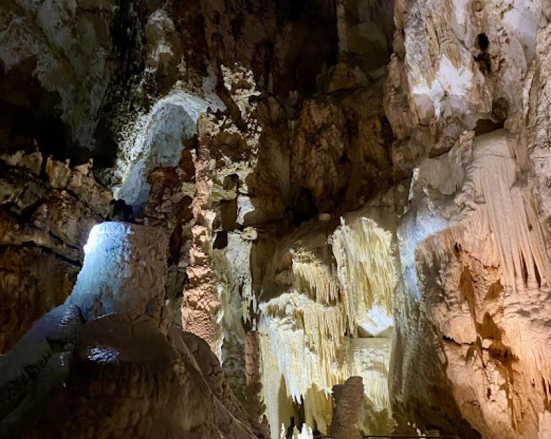 Il senso della natura Il senso della natura