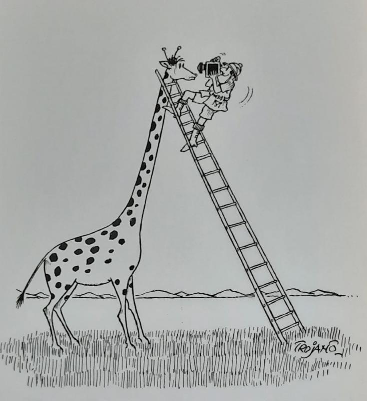 La giraffa