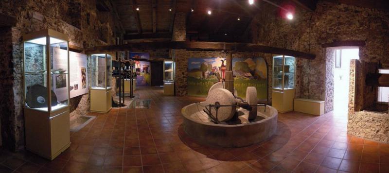 Museo dell'olio e dell'olivo