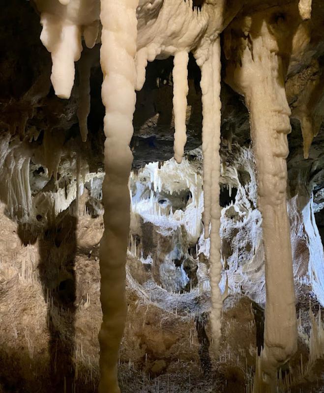 Il senso della natura Il senso della natura