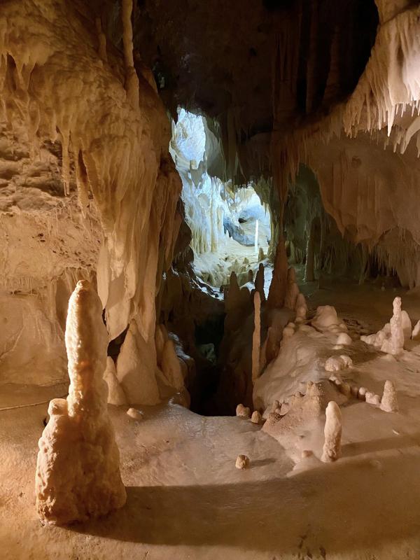 Il senso della natura Il senso della natura