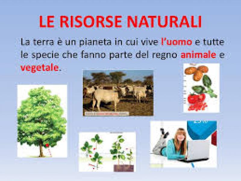 Il capitale naturale italiano