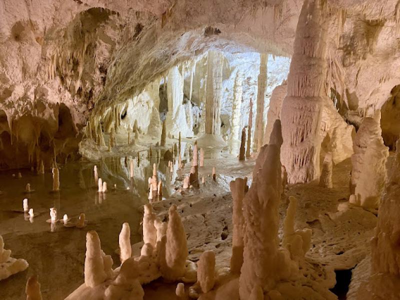 Il senso della natura Il senso della natura