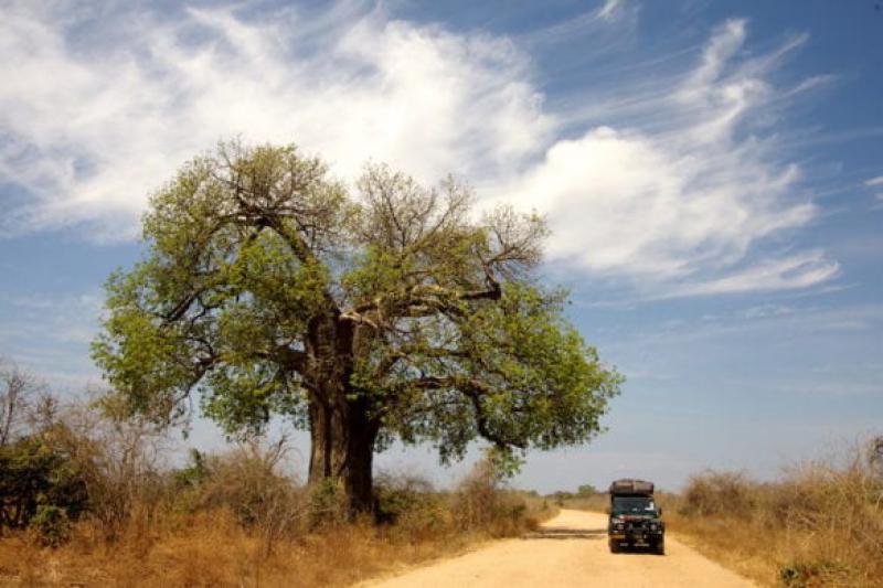 Viaggio in Zimbabwe