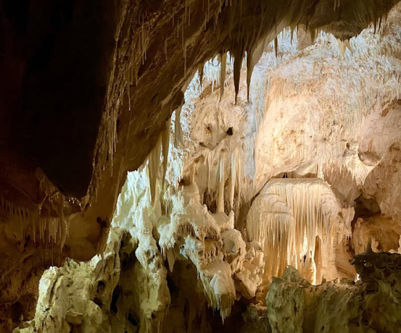 Il senso della natura Il senso della natura