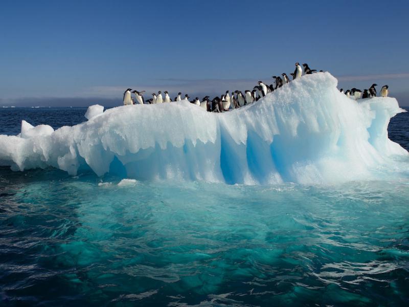 Iceberg in libera uscita