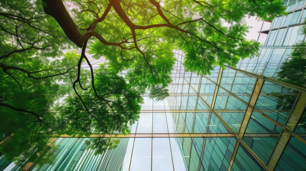 Piu' alberi