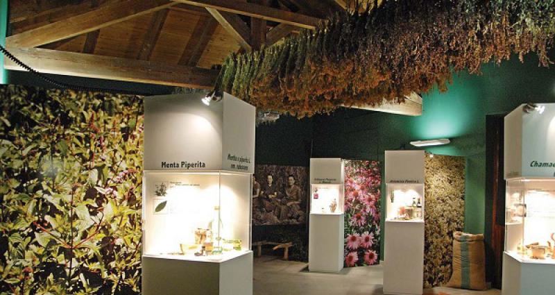 Museo della Menta   
e delle piante officinali