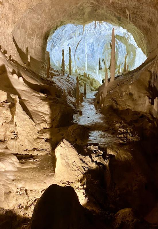 Il senso della natura Il senso della natura