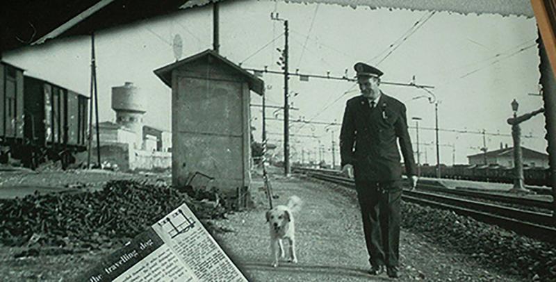 Cane ferroviere Cane ferroviere