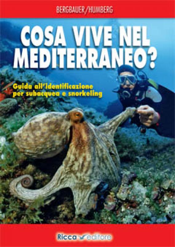 Cosa vive nel Mediterraneo?