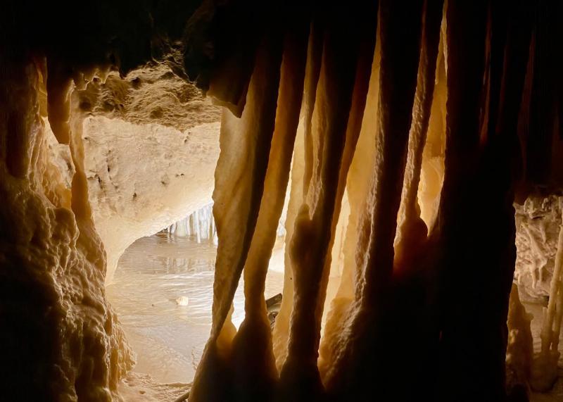 Il senso della natura Il senso della natura