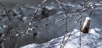 Un larice d’oro
<br>nella neve di Olmi