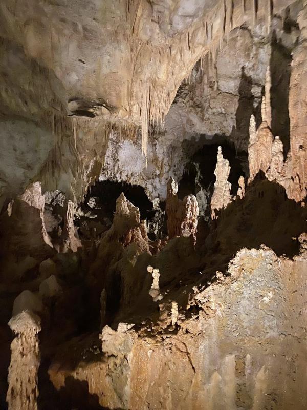 Il senso della natura Il senso della natura