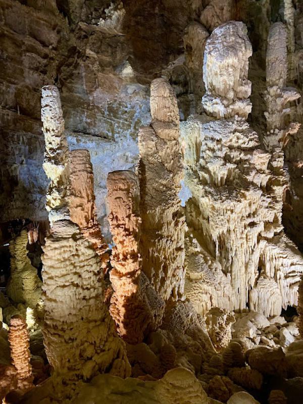 Il senso della natura Il senso della natura