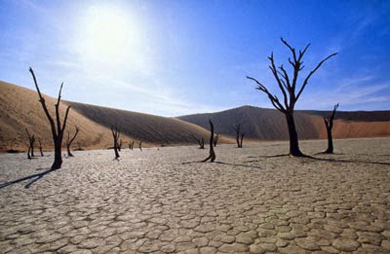 Desertificazione