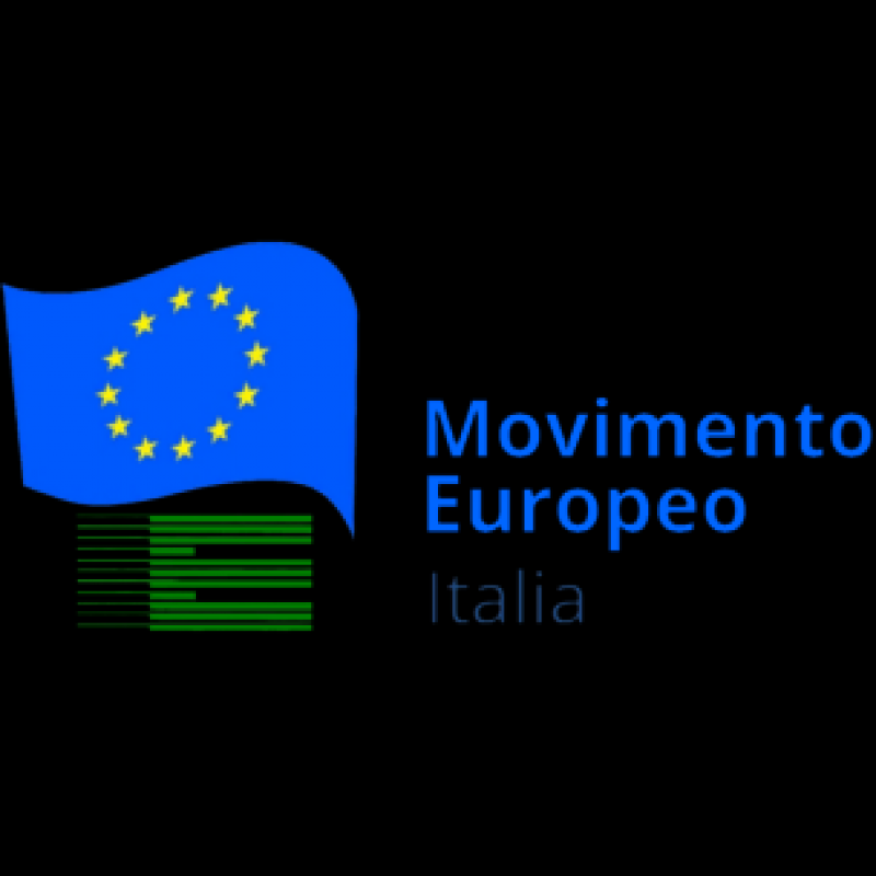 Volontariato e Servizio Civile   

in Europa