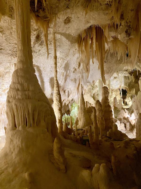 Il senso della natura Il senso della natura