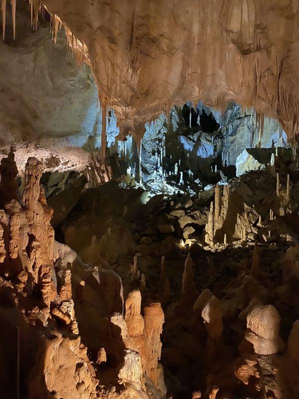 Il senso della natura Il senso della natura