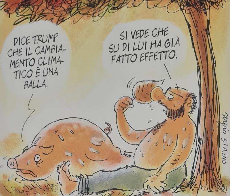 Incisioni rupestri camuni Incisioni rupestri camuni