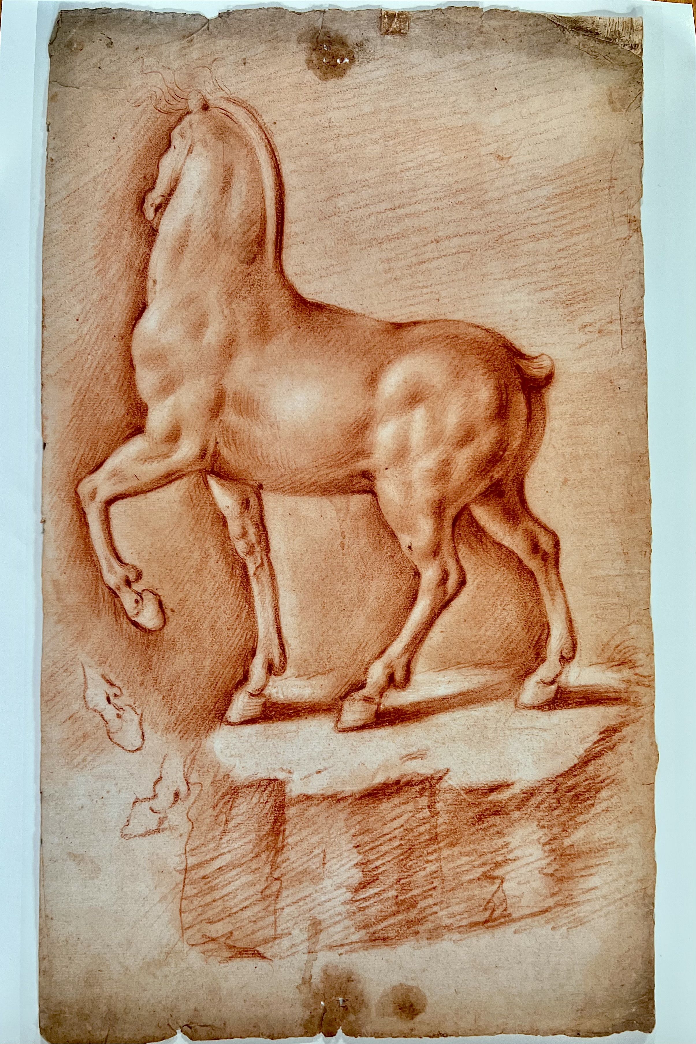 Cavallo ideale di Leonardo