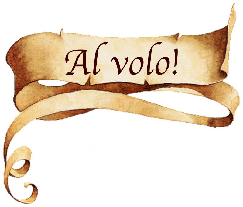 Al volo