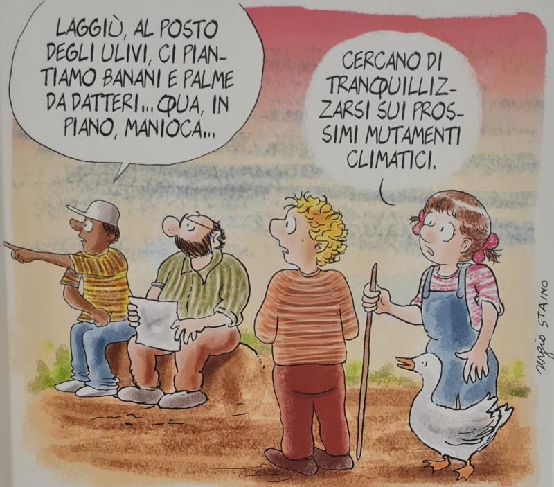 Incisioni rupestri camuni Incisioni rupestri camuni