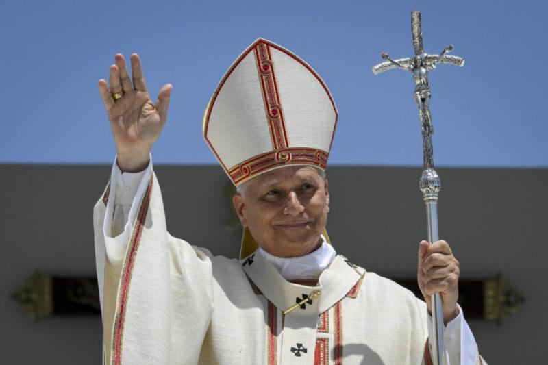 Remigrazione