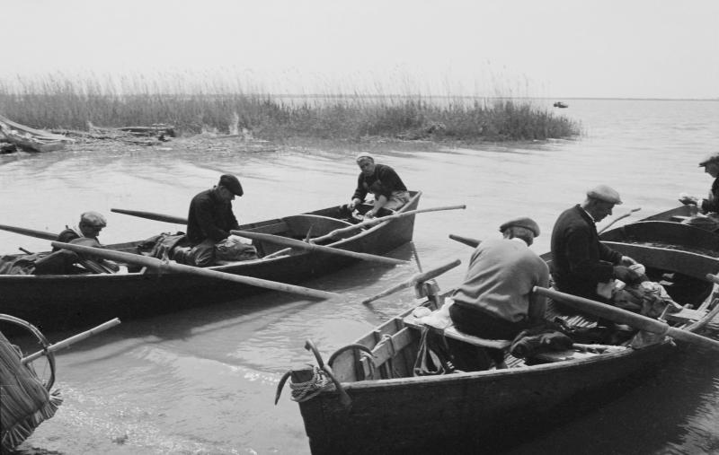 Stagno di Cabras Stagno di Cabras