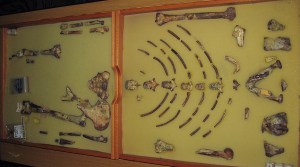 Tesori archeologici in Africa