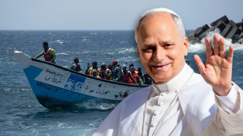 Remigrazione