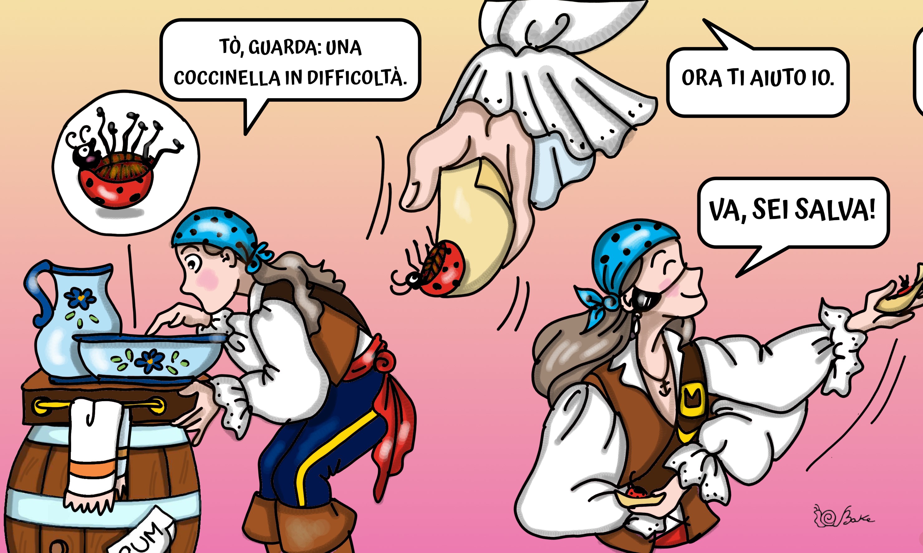 Vita da coccinella