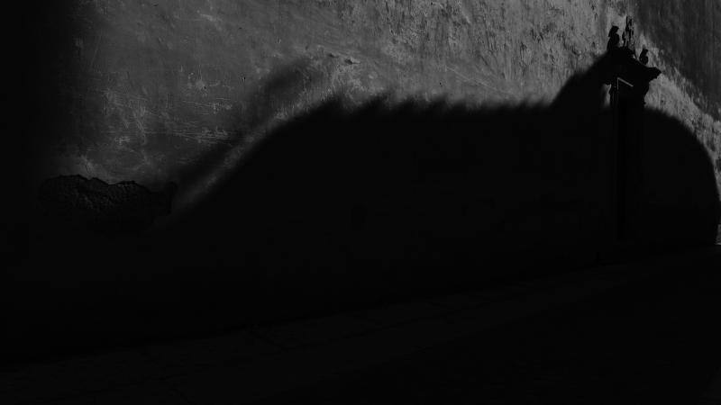 Intangib(i)le Intangib(i)le