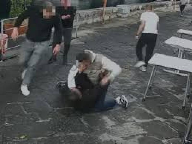 Violenza minorile Violenza minorile