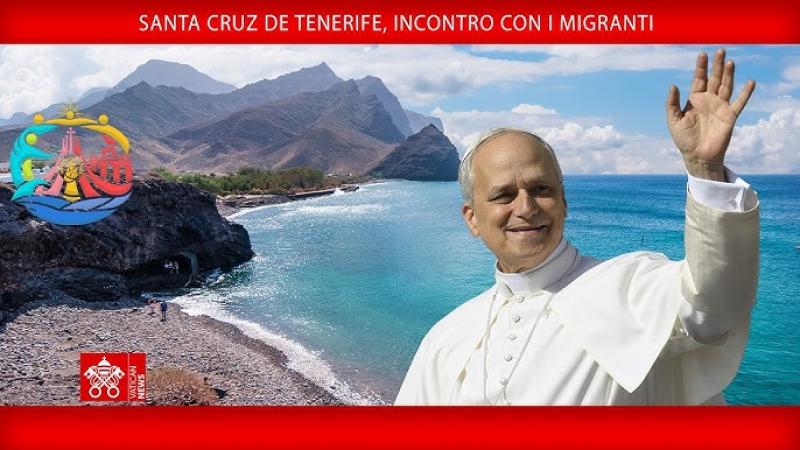 Remigrazione