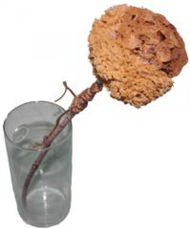 Il dimenticatoio Il dimenticatoio