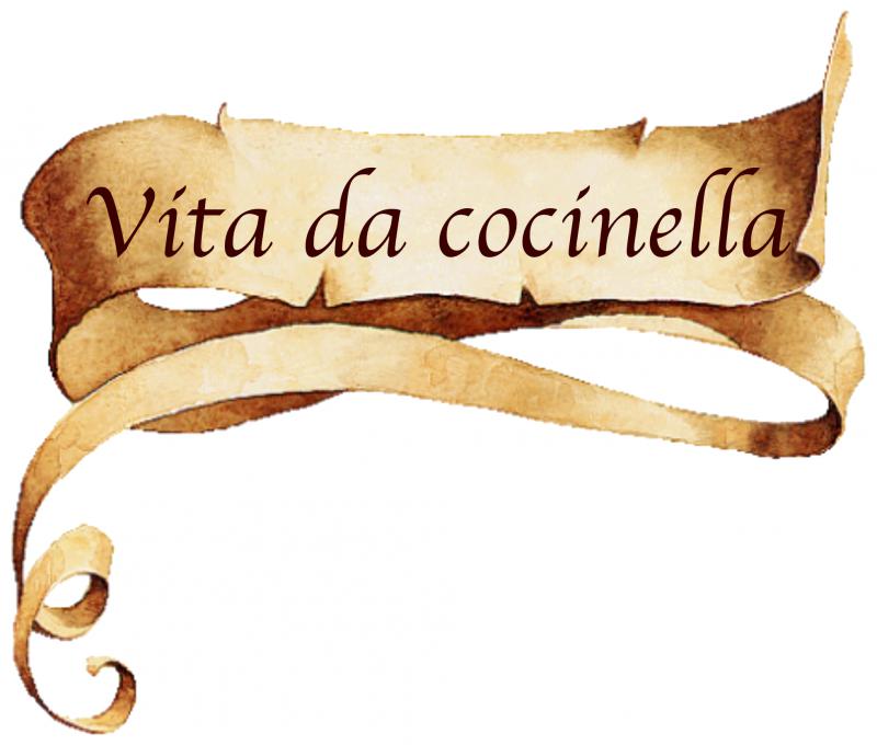 Vita da coccinella