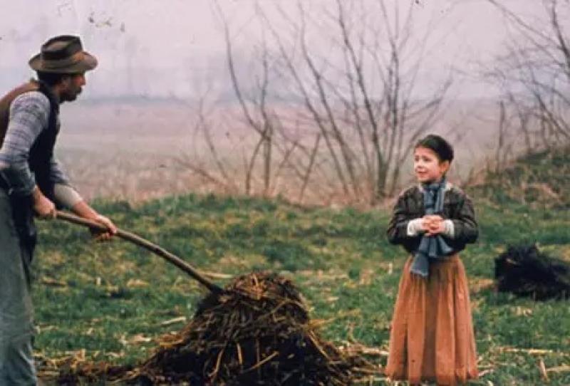L'albero degli zoccoli L'albero degli zoccoli