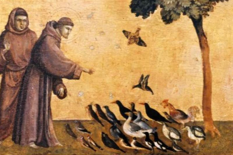 800 Anni