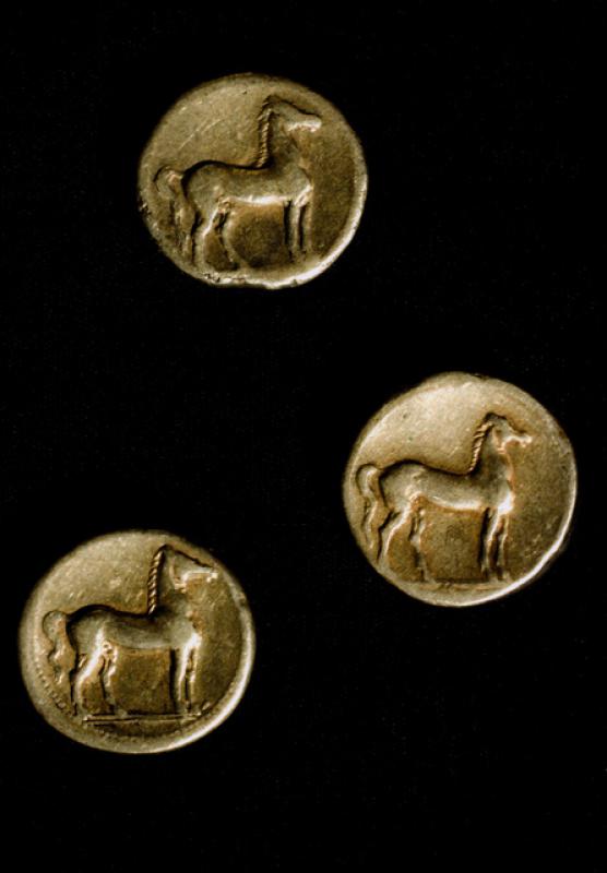 La Magna Grecia La Magna Grecia