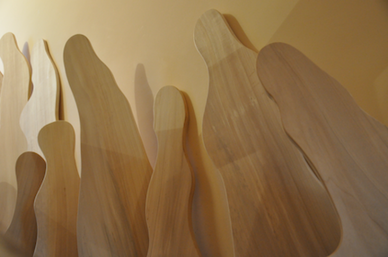 Milioni di veli in volo