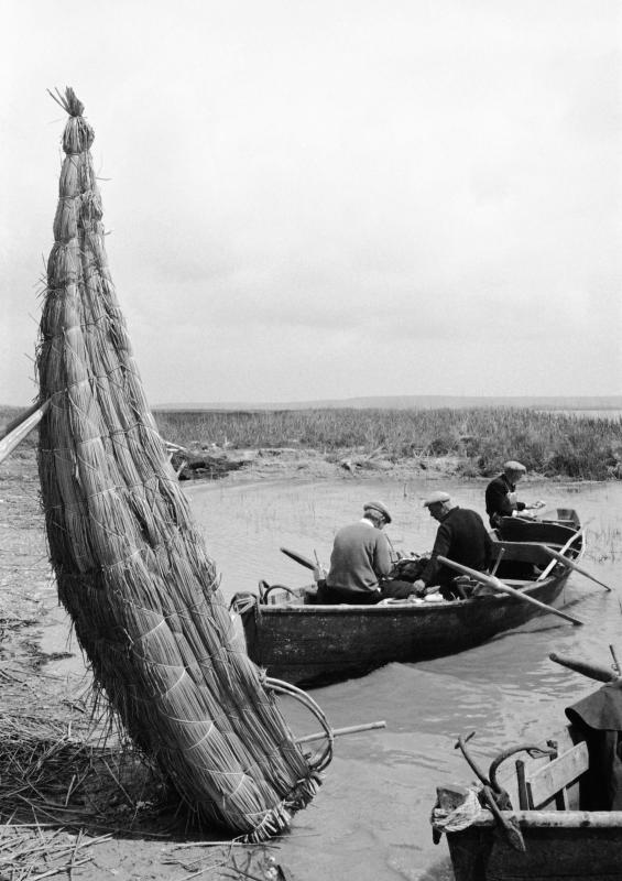Stagno di Cabras Stagno di Cabras