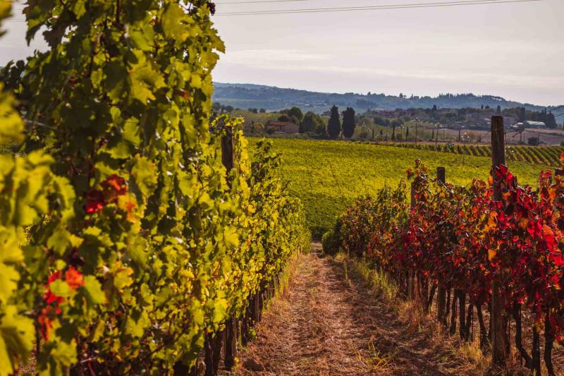 Autunno...estivo